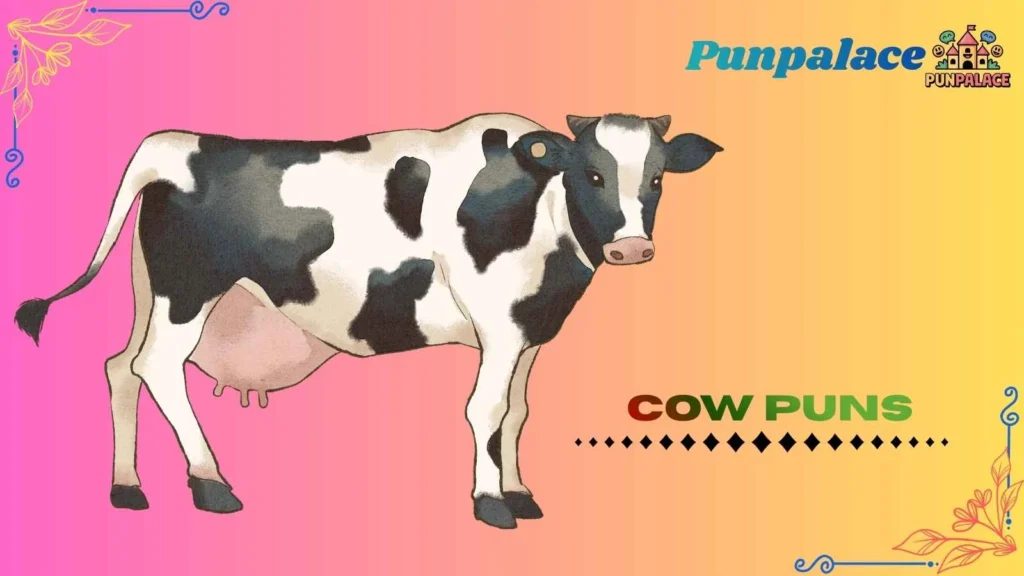 Cow puns