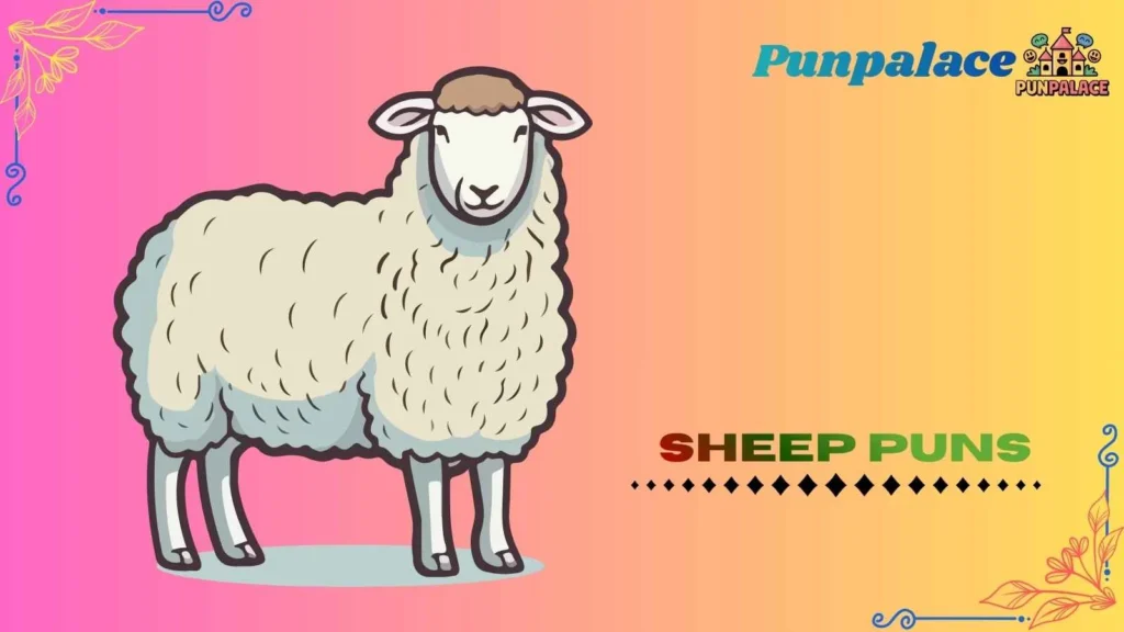 Sheep puns