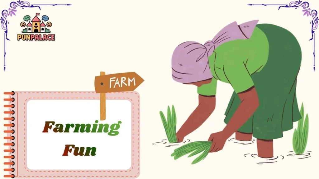 Farming Fun