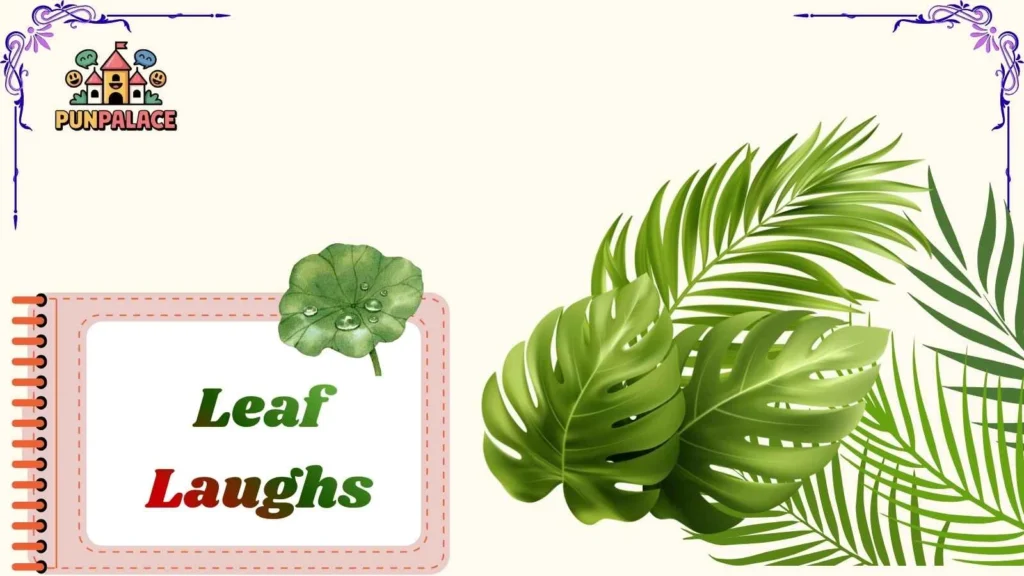 Leaf Laughs