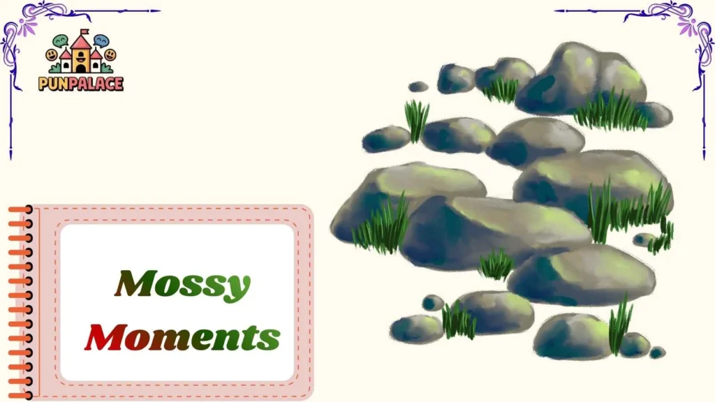 Mossy Moments