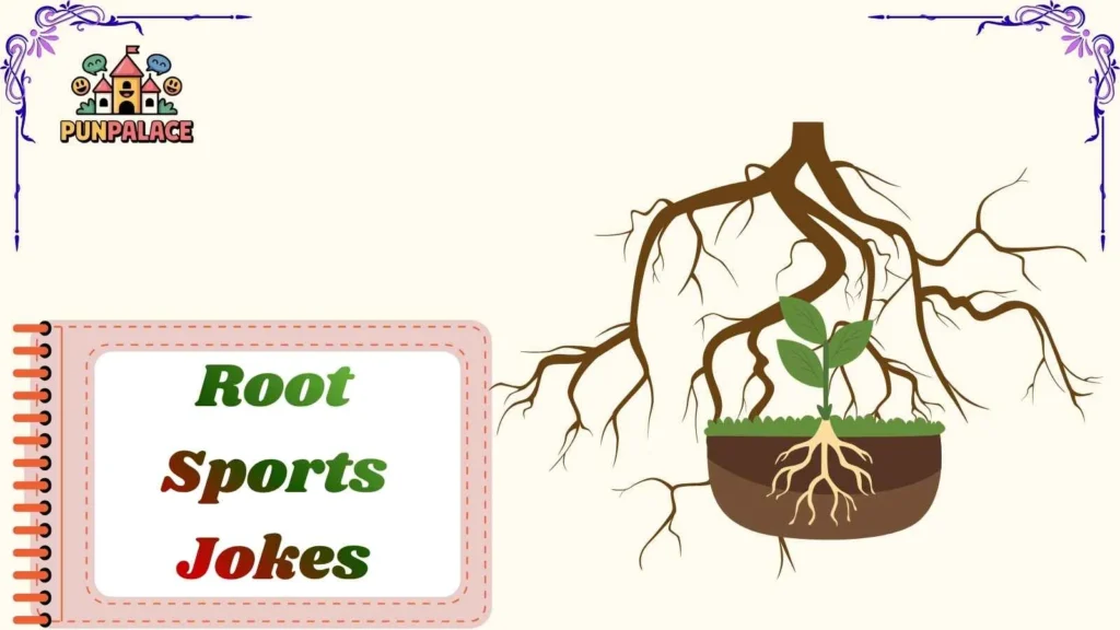 Root Sports Jokes