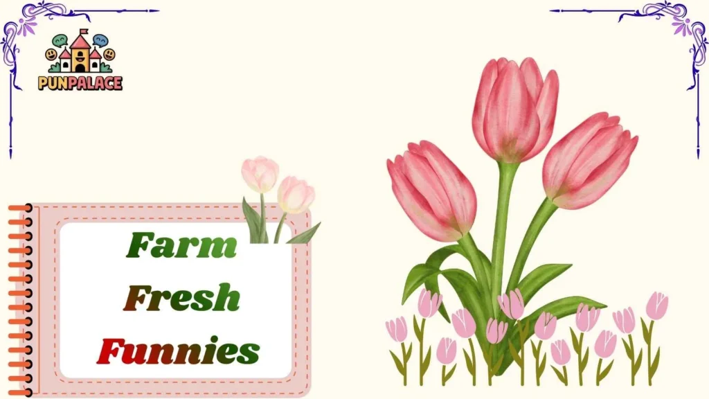Tulip Tickles 