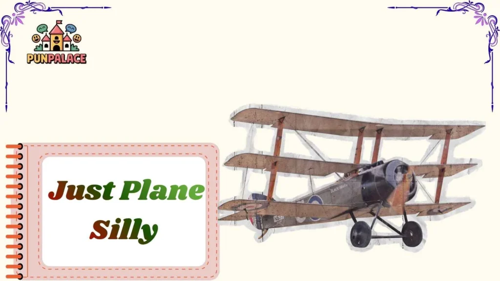 Just Plane Silly