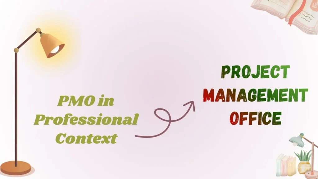 PMO in Professional Context