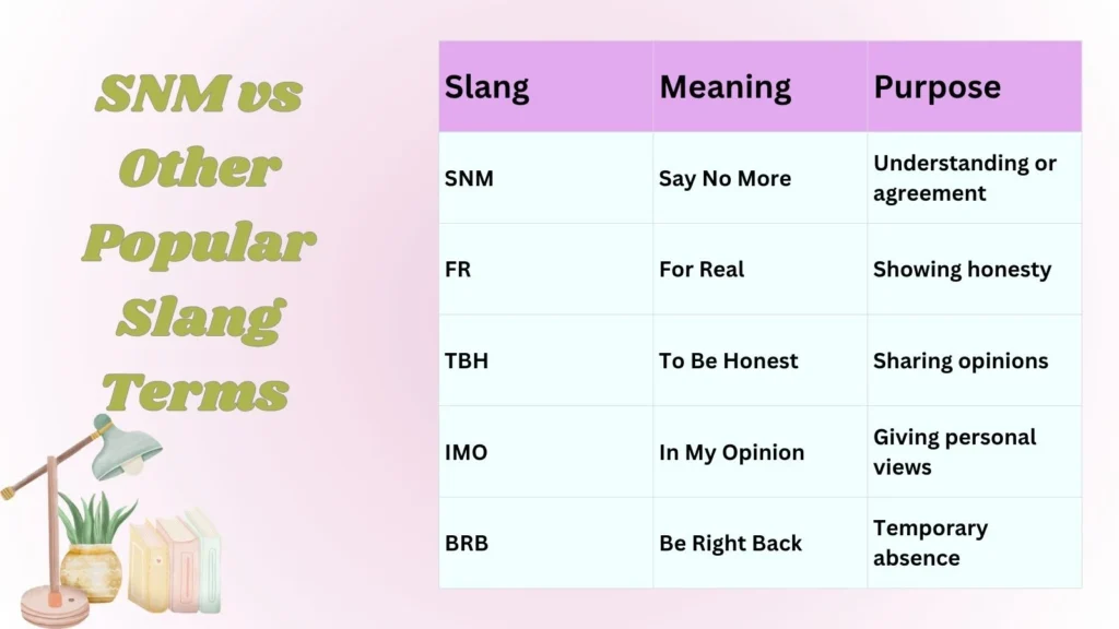SNM vs Other Popular Slang Terms