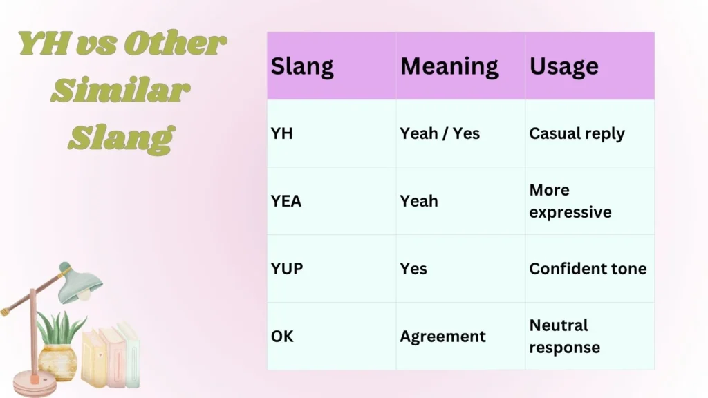 YH vs Other Similar Slang