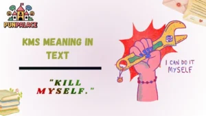 Kms Meaning In Text