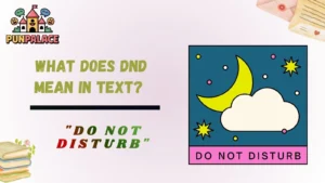 What Does DND Mean In Text?