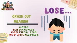 Crash Out Meaning