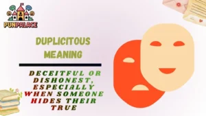 Duplicitous Meaning