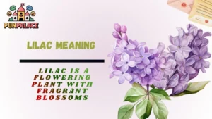 Lilac Meaning
