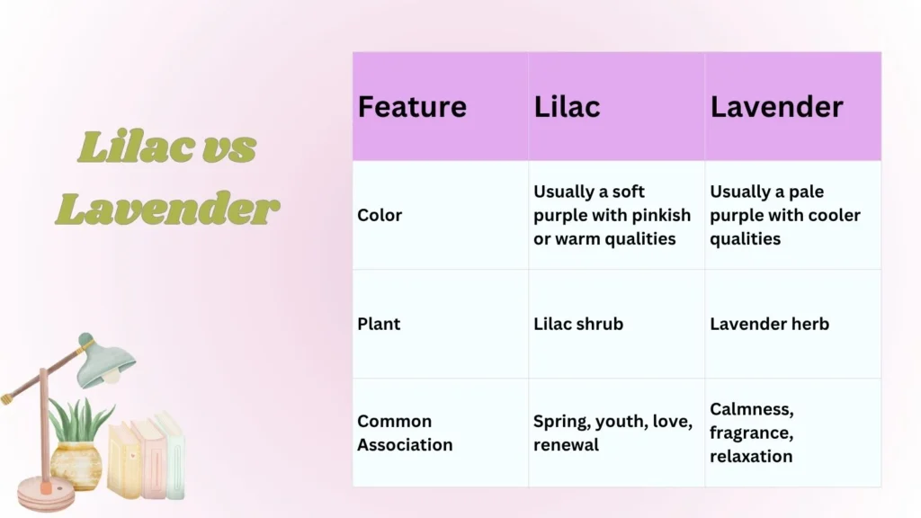 Lilac vs Lavender