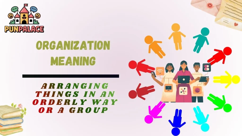 Organization Meaning