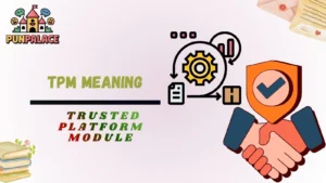 TPM Meaning