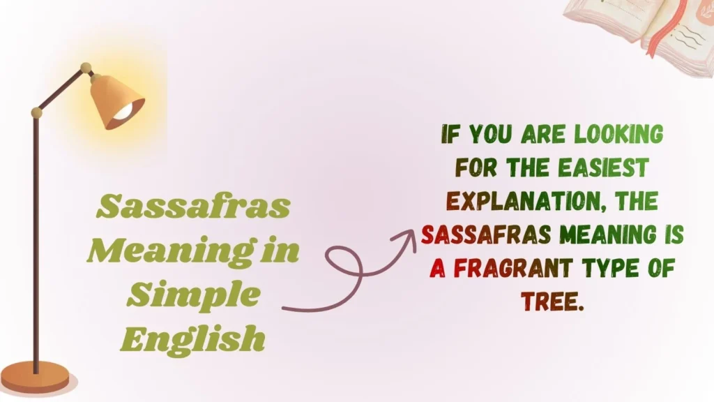 Sassafras Meaning in Simple English