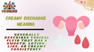 Creamy Discharge Meaning
