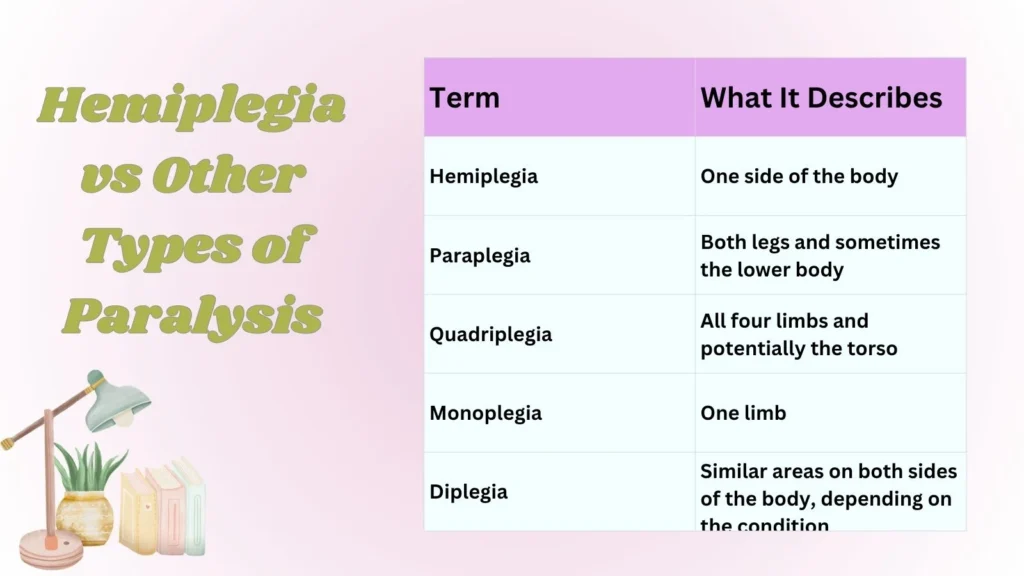 Hemiplegia vs Other Types of Paralysis