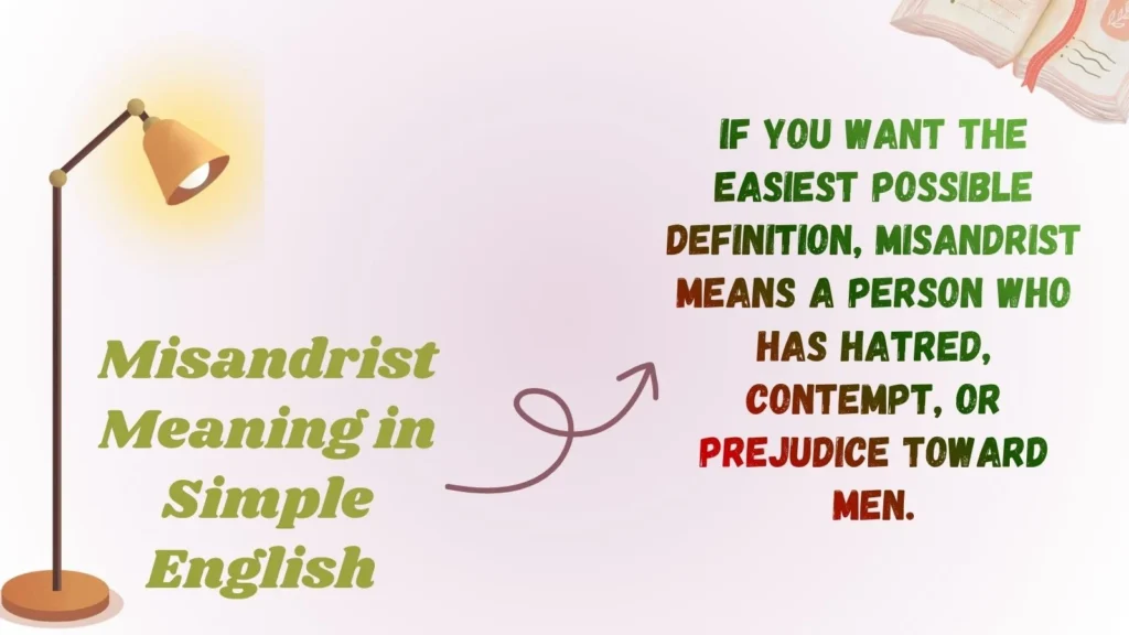 Misandrist Meaning in Simple English