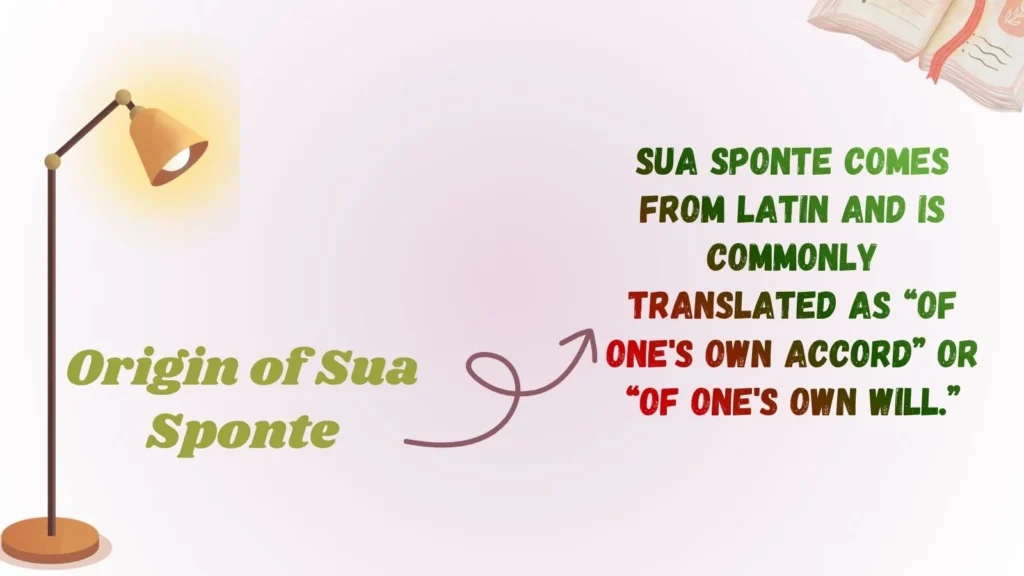 Origin of Sua Sponte
