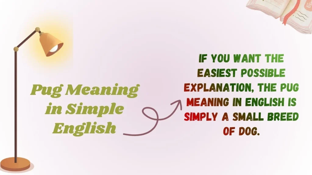 Pug Meaning in Simple English