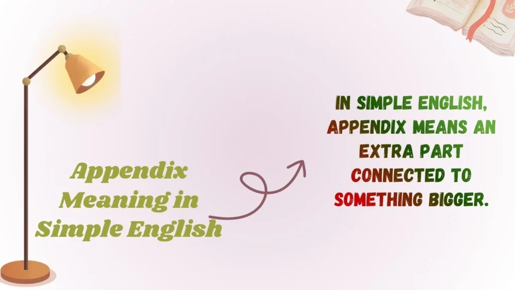 Appendix Meaning in Simple English