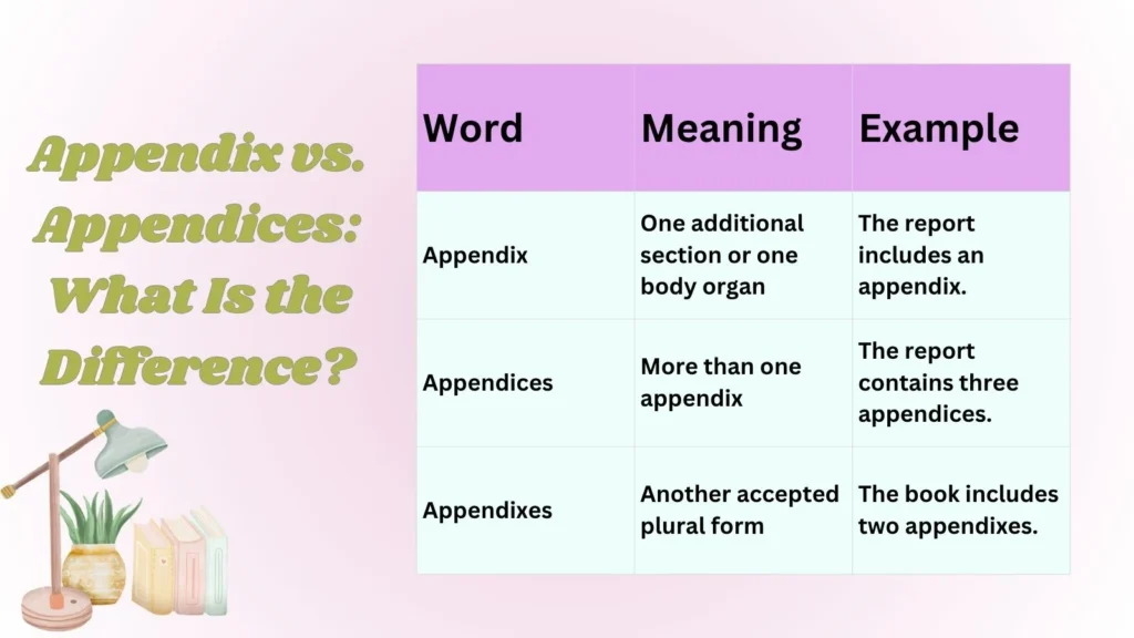 Appendix vs. Appendices: What Is the Difference?