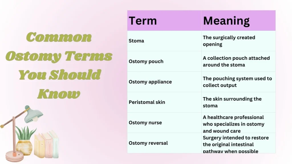 Common Ostomy Terms You Should Know