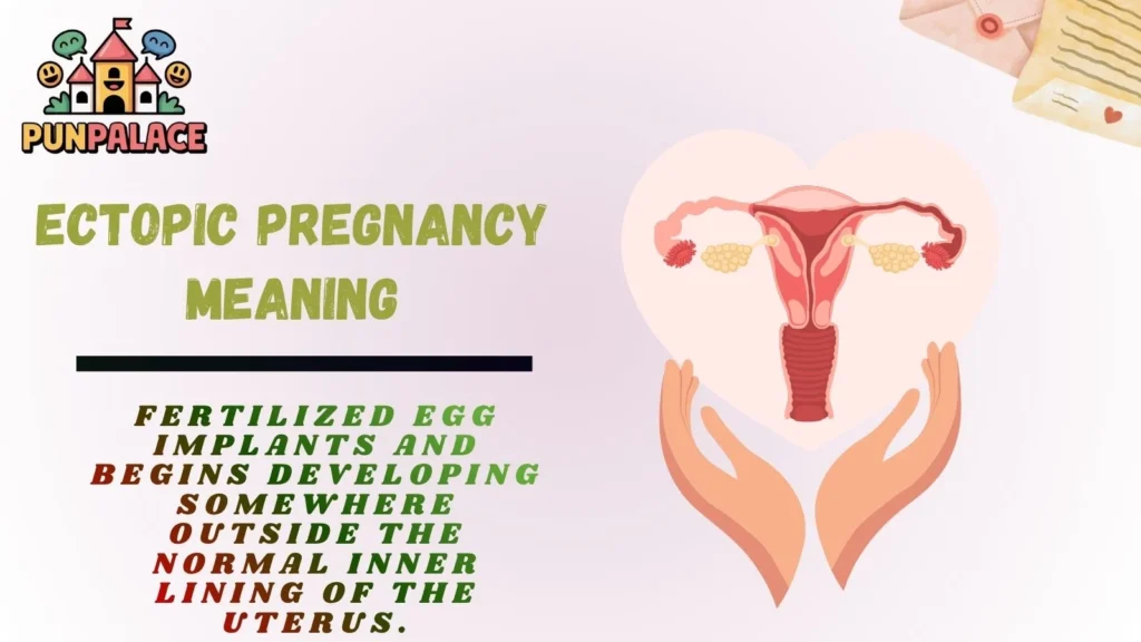 Ectopic Pregnancy Meaning