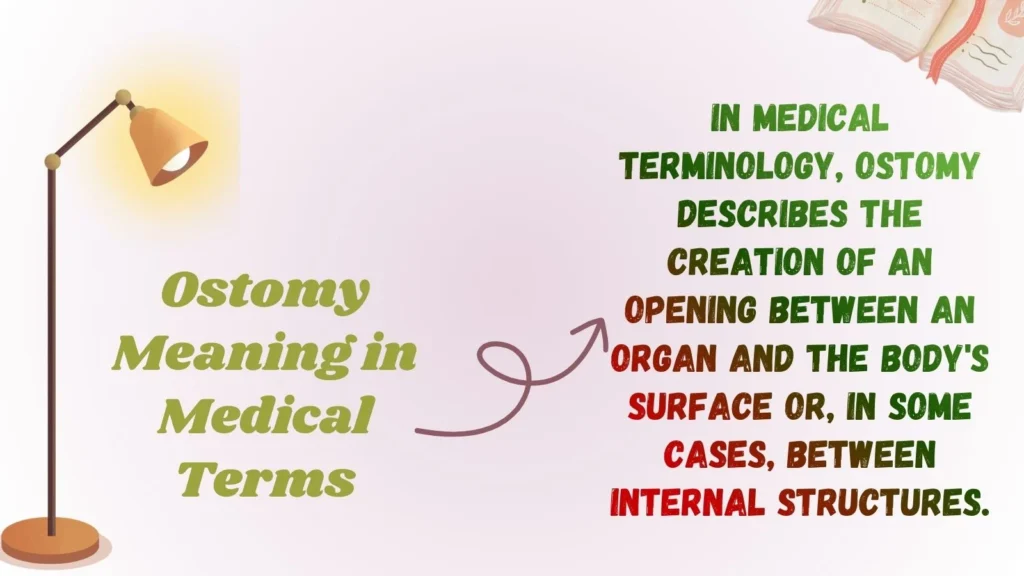 Ostomy Meaning in Medical Terms