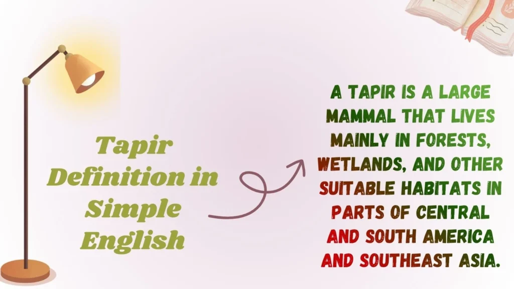 Tapir Definition in Simple English