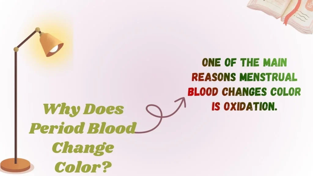 Why Does Period Blood Change Color?